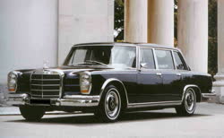 1981 penultimate