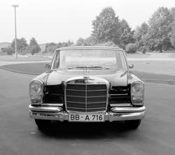 03-0-Copr_2020-Unknownt.jpg