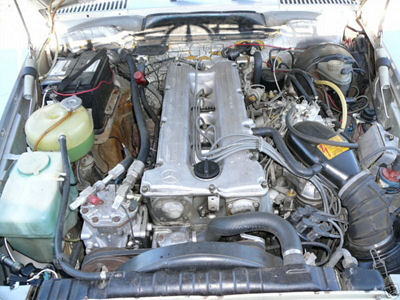 8044_3t.JPG