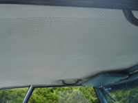 DSC00021t.jpg