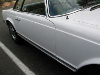 IMG_0021t.jpg