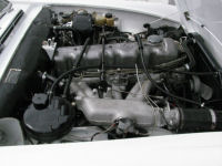 IMG_0035t.jpg