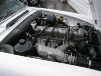 IMG_0036t.jpg