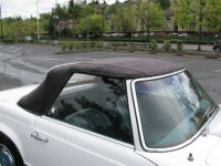 IMG_0052t.jpg