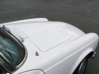 IMG_0074t.jpg
