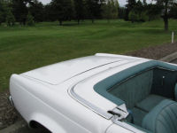 IMG_0075t.jpg