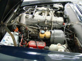 216_V200711301041004t.jpg