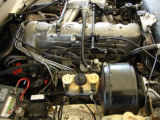 84t.jpg