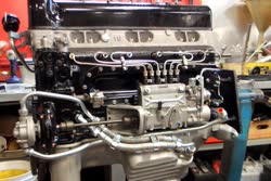 61-0-Copr_2019-BaTt.jpg