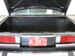 12t.jpg