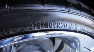 6787624_49t.jpg