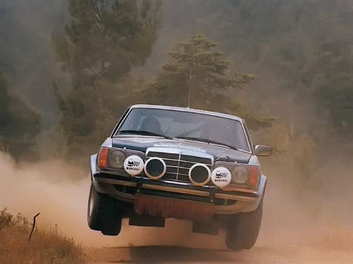 1983 300D