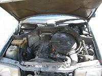 Img_0498t.jpg
