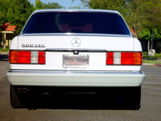 65t.jpg