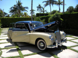 1954_300b-11t.jpg