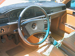 IMG_4356t.jpg