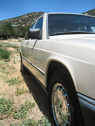 IMG_4464t.jpg