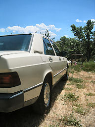 IMG_4465t.jpg