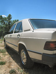 IMG_4466t.jpg