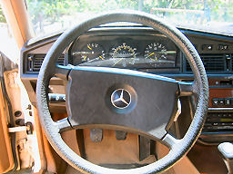 IMG_4471t.jpg