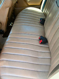IMG_4476t.jpg