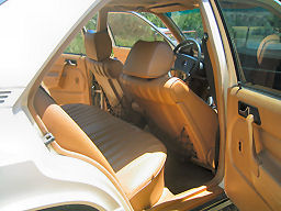 IMG_4480t.jpg