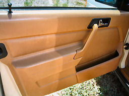 IMG_4481t.jpg