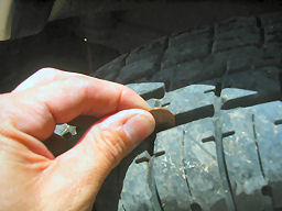 IMG_4494t.jpg
