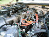WHITEWAGON061t.jpg