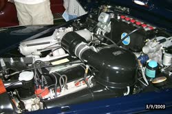 Image46t.jpg