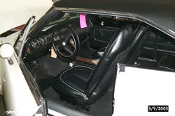 Image39t.jpg