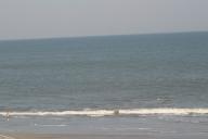 img_7039t.jpg