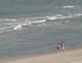 img_7048t.jpg