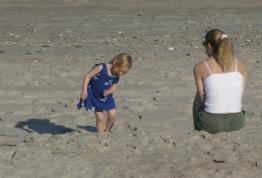 img_7081t.jpg