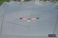 Image148t.jpg