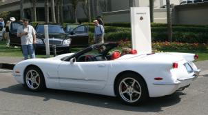 img_7166t.jpg
