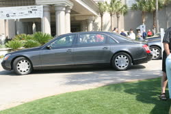 img_7182t.jpg