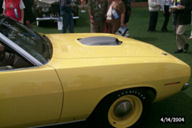 Image134t.jpg