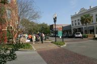 img_7337t.jpg