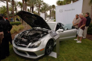 Amelia-Island_014Mercedes-Benz_Concours031409_large_mediumt.jpg