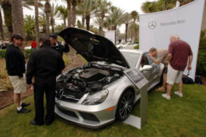 Amelia-Island_015Mercedes-Benz_Concours031409_large_mediumt.jpg