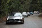 10Amelia_Road_Tour_0288_mediumt.jpg
