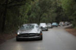 10Amelia_Road_Tour_0289_mediumt.jpg