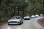 10Amelia_Road_Tour_0305_mediumt.jpg