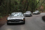 10Amelia_Road_Tour_0317_mediumt.jpg