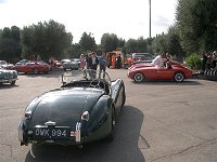 Cimg1671t.jpg