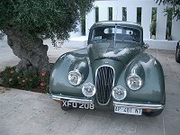 Cimg1718t.jpg