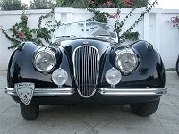 Cimg1720t.jpg