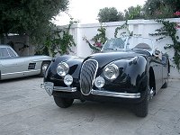Cimg1722t.jpg