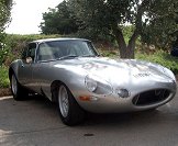 Jaguart.jpg